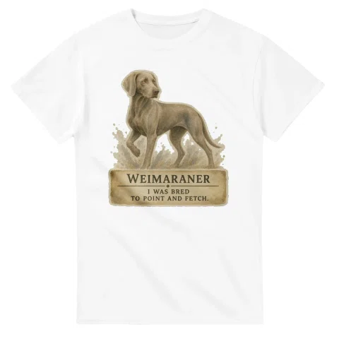 Weimaraner - Working Roots