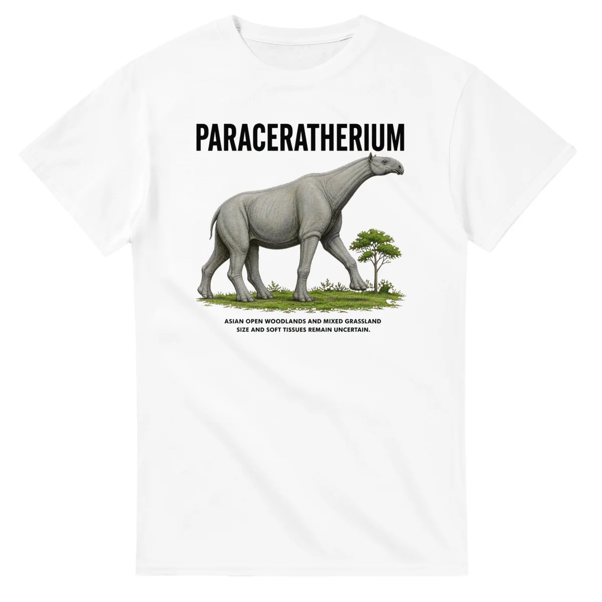 Paraceratherium - Artist's Impression