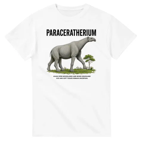 Paraceratherium - Artist's Impression