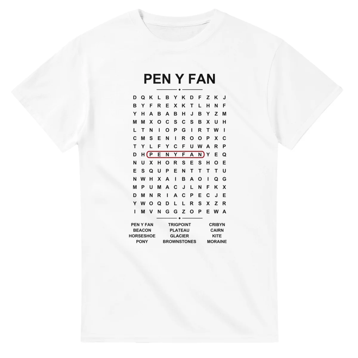 Word-search sheet for Pen y Fan, with a large place-name heading, a letter grid, a local answer list, and a red highlighted example word.