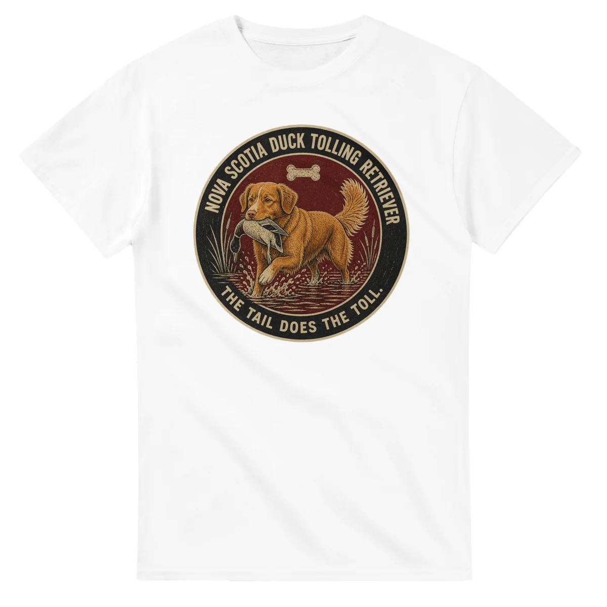 Nova Scotia Duck Tolling Retriever - Best in Show