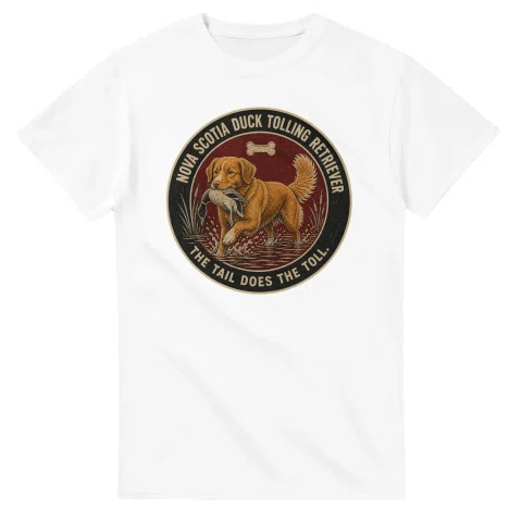 Nova Scotia Duck Tolling Retriever - Best in Show