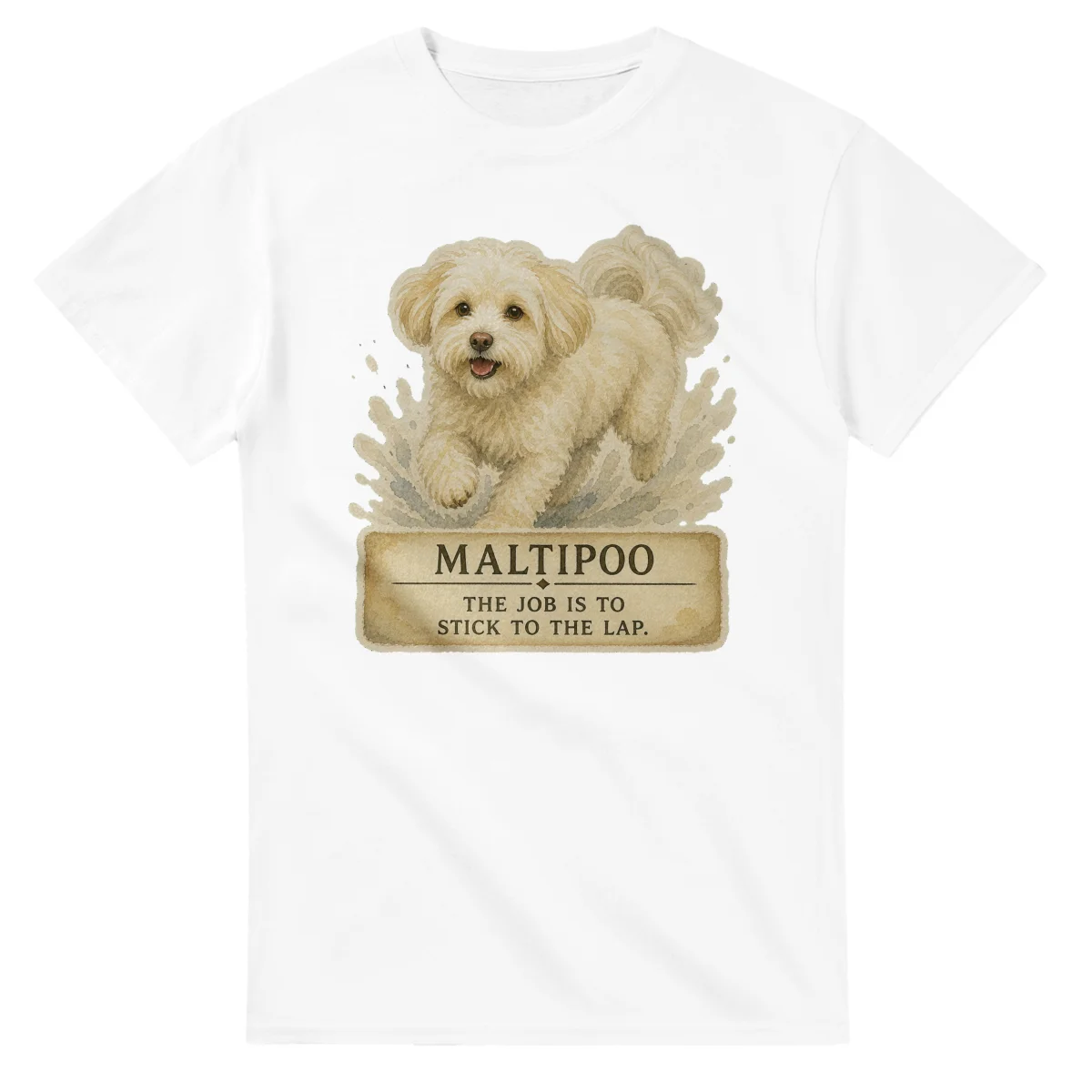 Maltipoo - Working Roots