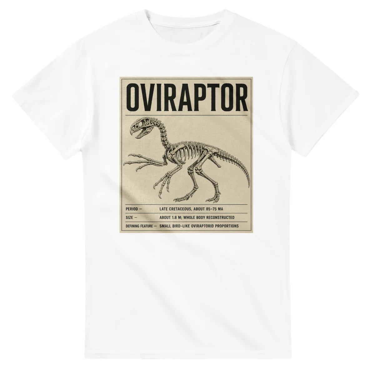 Oviraptor - Set in Stone