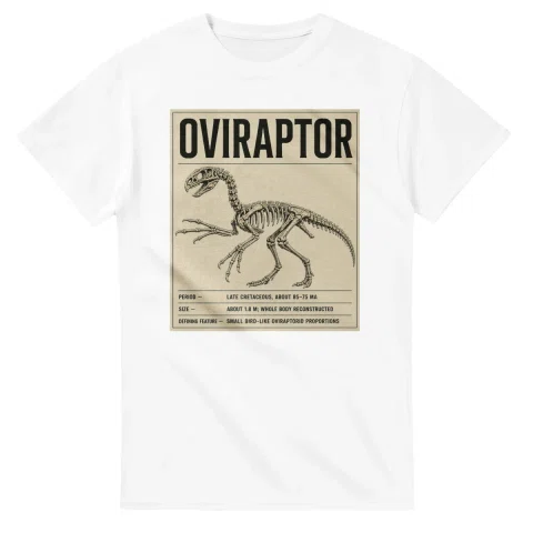 Oviraptor - Set in Stone