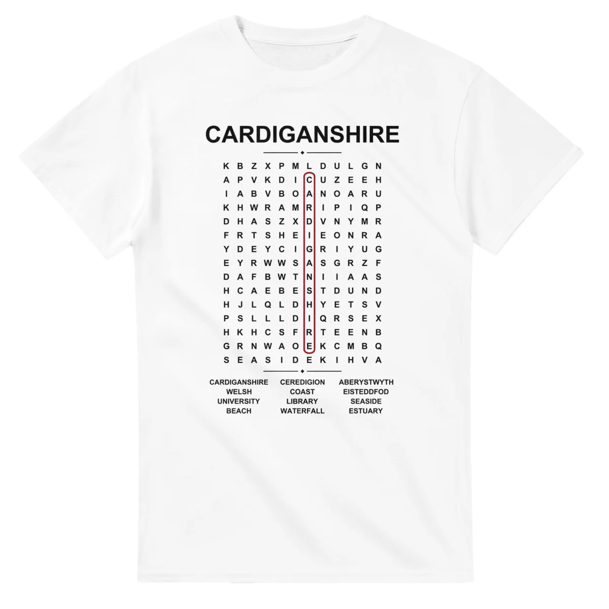 Word-search sheet for Cardiganshire, with a large place-name heading, a letter grid, a local answer list, and a red highlighted example word.