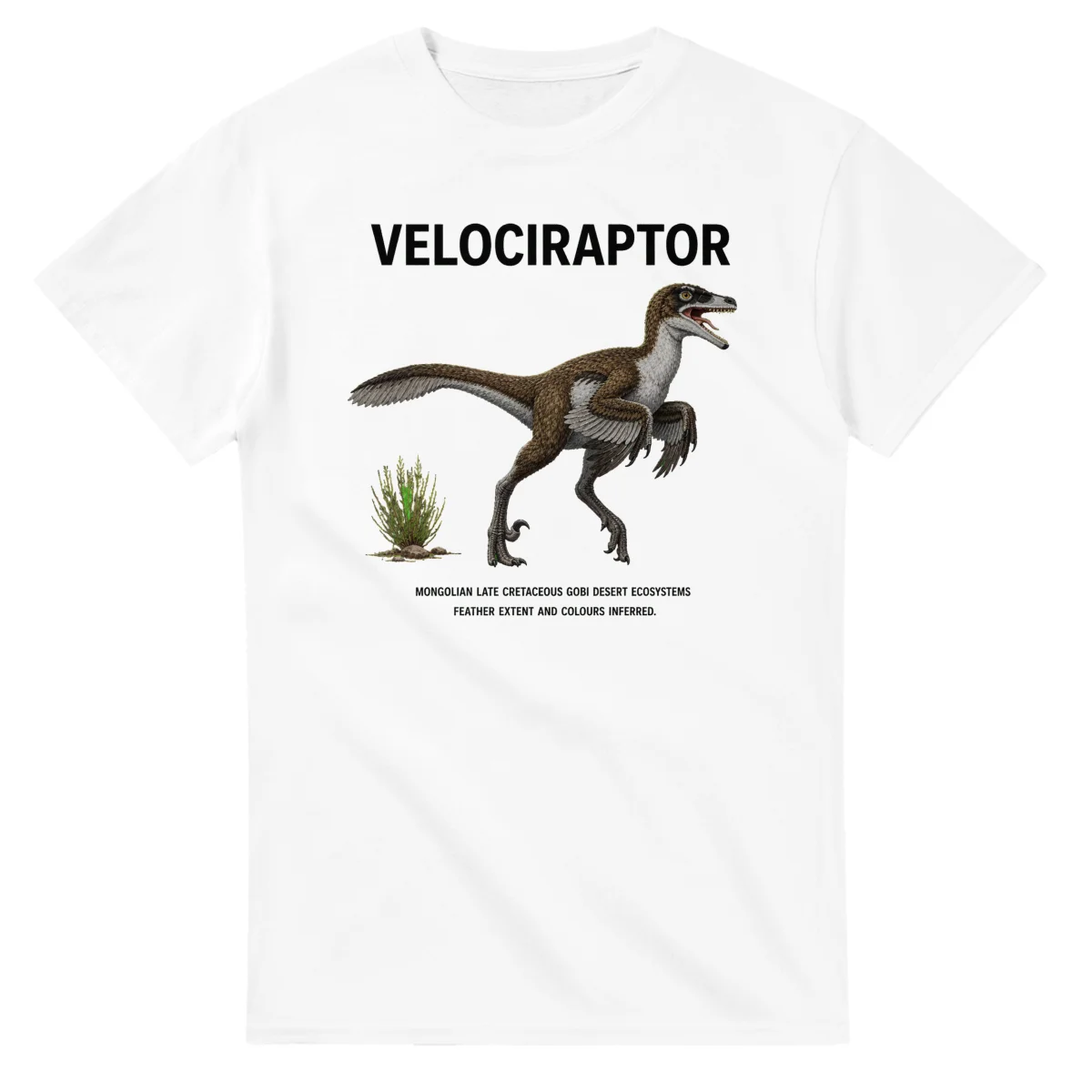 Velociraptor - Artist's Impression