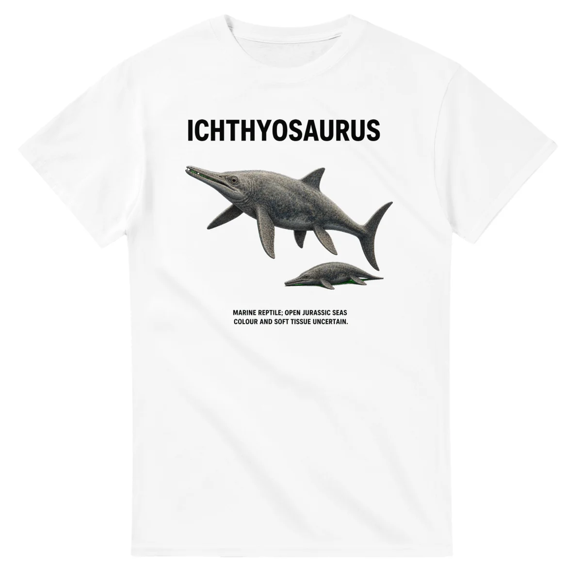 Ichthyosaurus - Artist's Impression