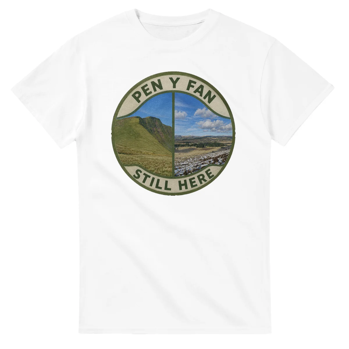 Painted, panelled scenic illustration for Pen y Fan, with paired local scenes and the place name in lettering.