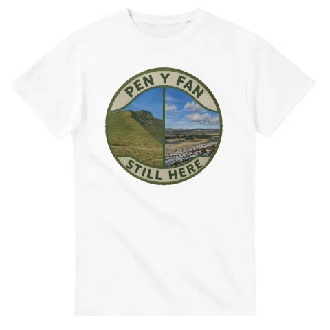 Painted, panelled scenic illustration for Pen y Fan, with paired local scenes and the place name in lettering.