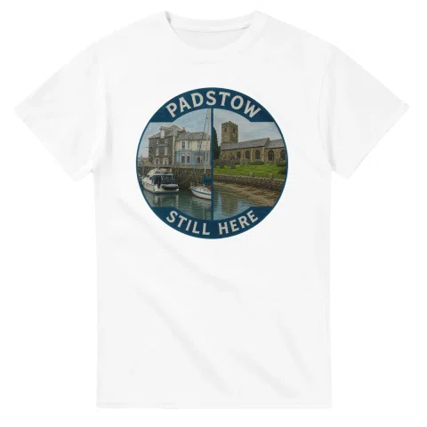 Painted, panelled scenic illustration for Padstow, with paired local scenes and the place name in lettering.