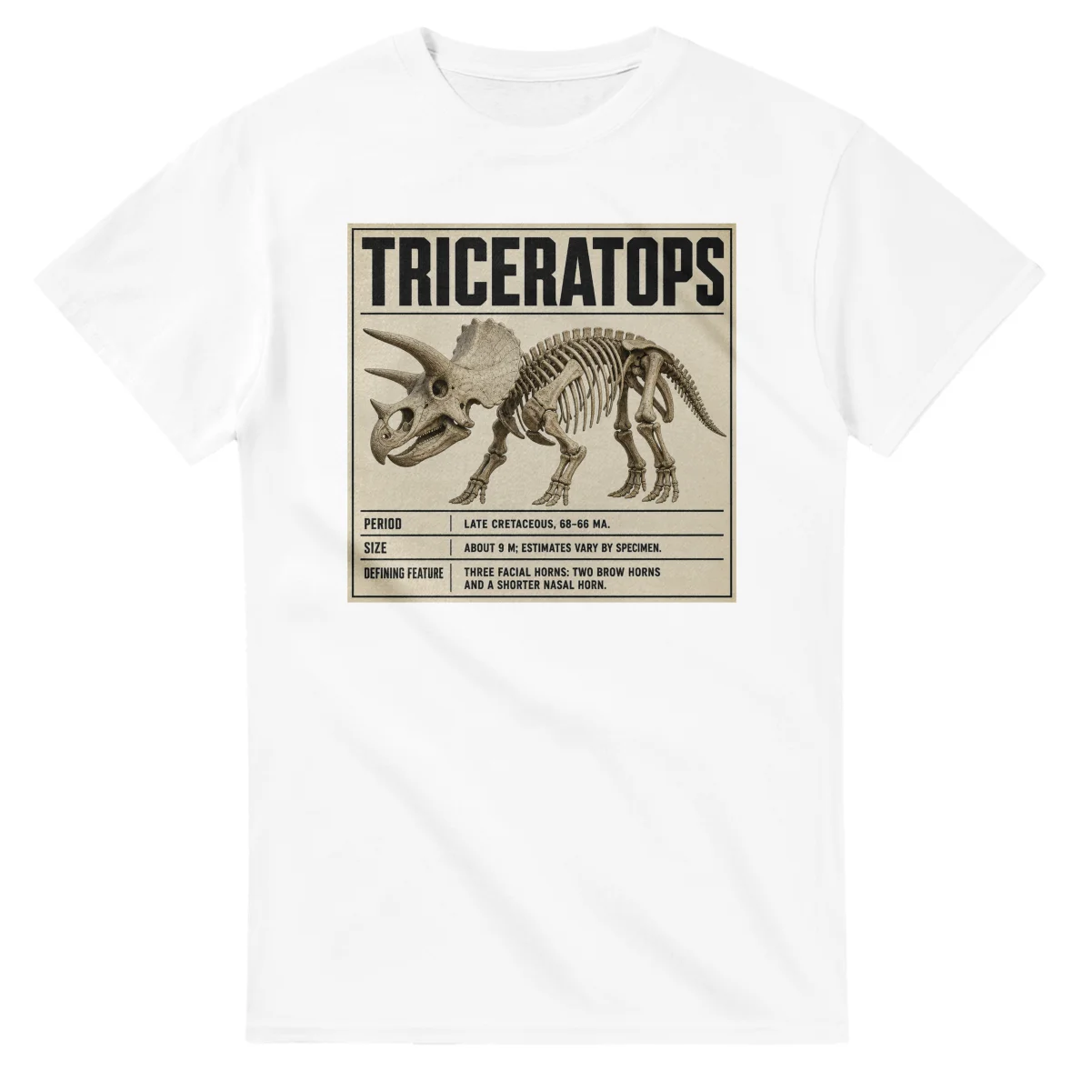 Triceratops - Set in Stone