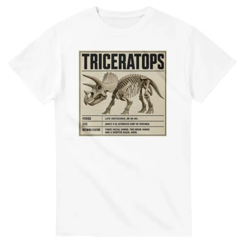 Triceratops - Set in Stone