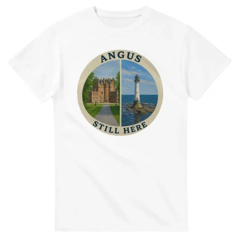 Painted, panelled scenic illustration for Angus, with paired local scenes and the place name in lettering.
