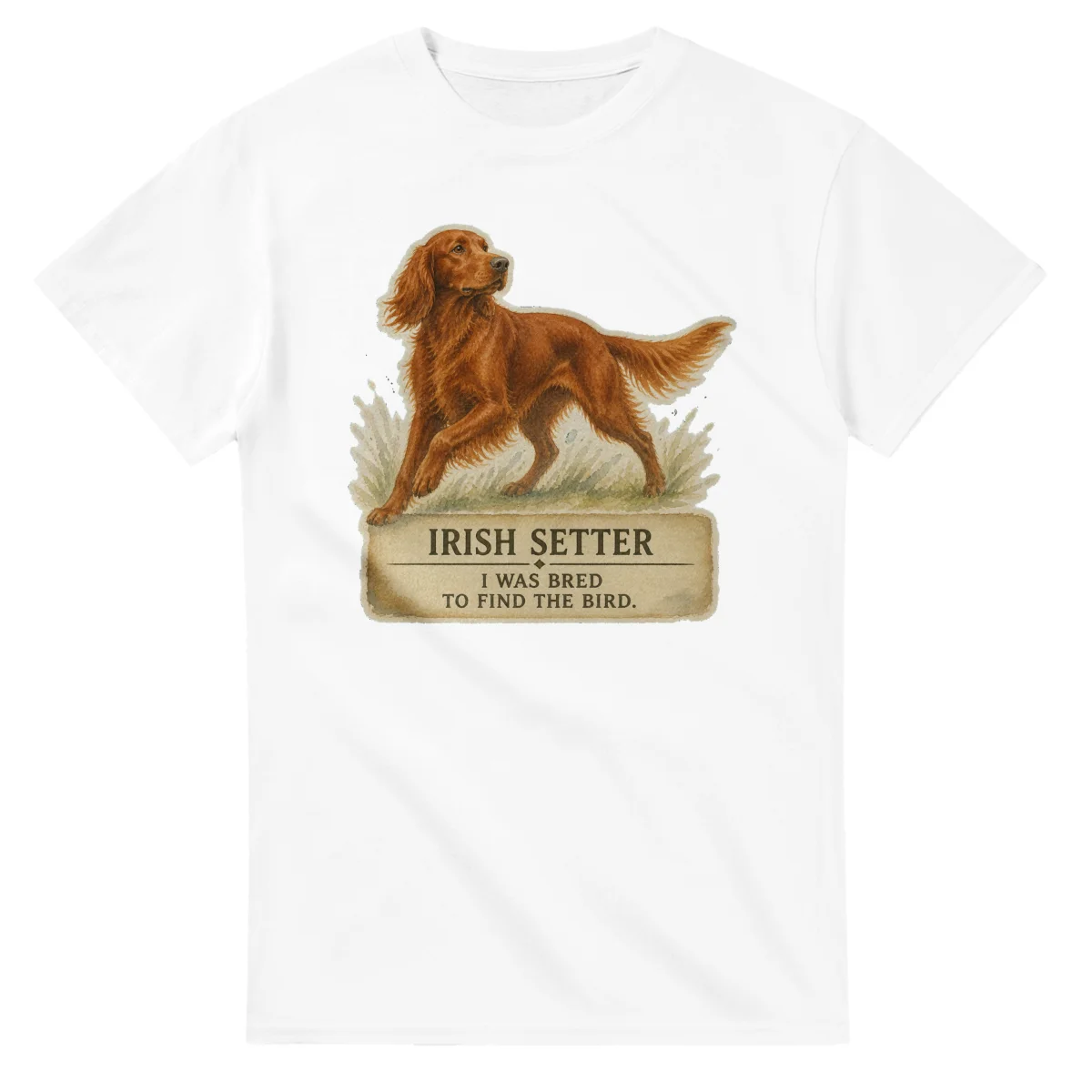 Irish Setter - Working Roots