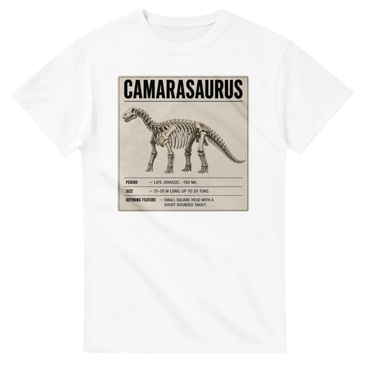 Camarasaurus - Set in Stone