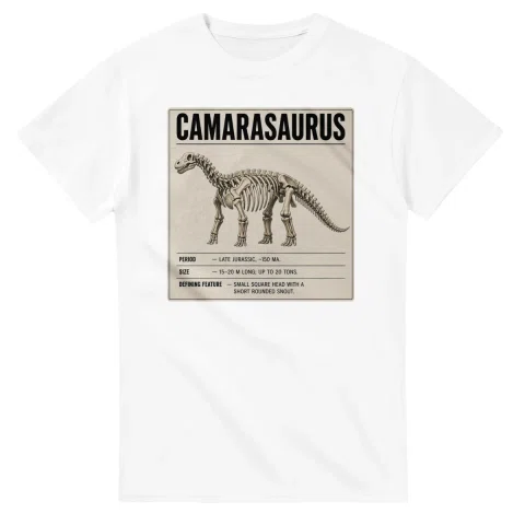 Camarasaurus - Set in Stone