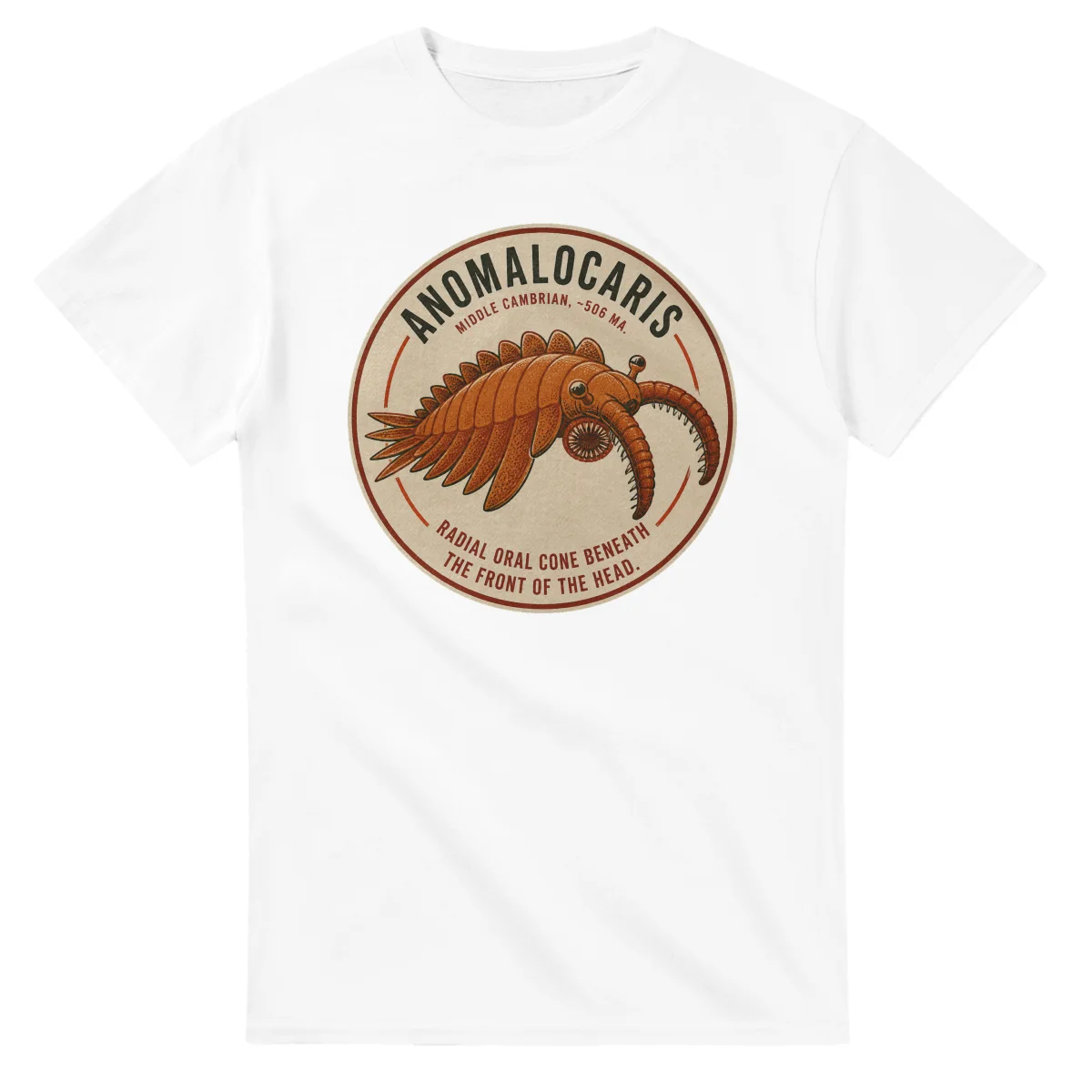Anomalocaris - Alive and Well