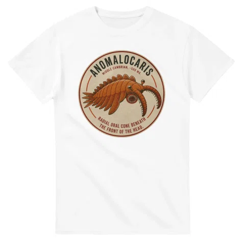 Anomalocaris - Alive and Well