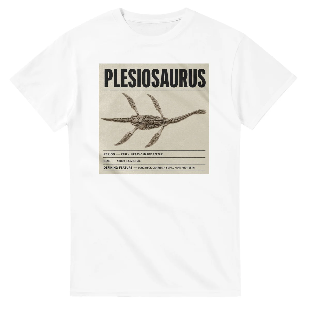 Plesiosaurus - Set in Stone