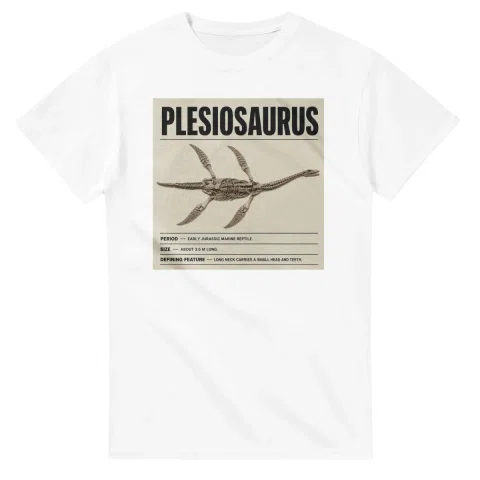 Plesiosaurus - Set in Stone