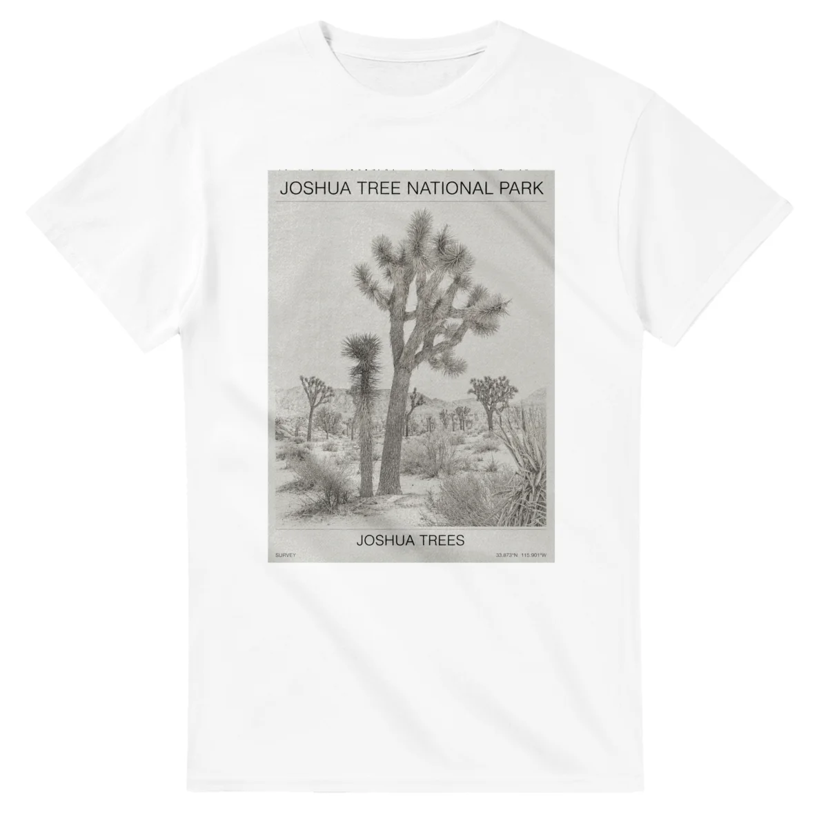 Fine-line engraving-style drawing for Joshua Tree National Park, with a landmark caption and small coordinate text.