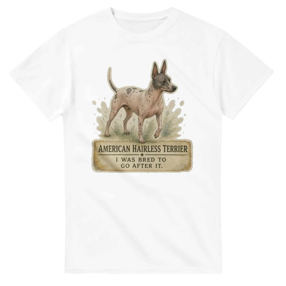 American Hairless Terrier - Working Roots