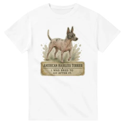 American Hairless Terrier - Working Roots
