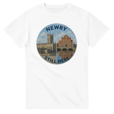 Painted, panelled scenic illustration for Newry, with paired local scenes and the place name in lettering.