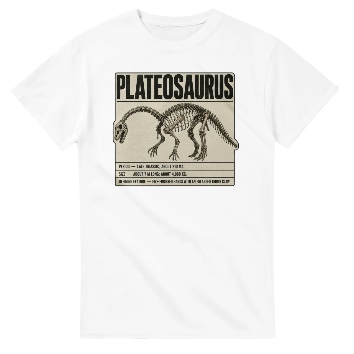 Plateosaurus - Set in Stone