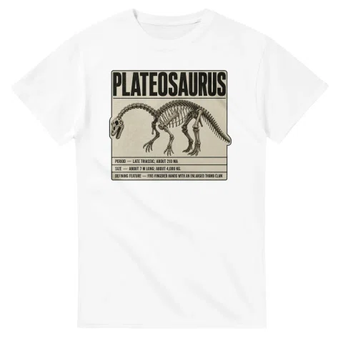 Plateosaurus - Set in Stone
