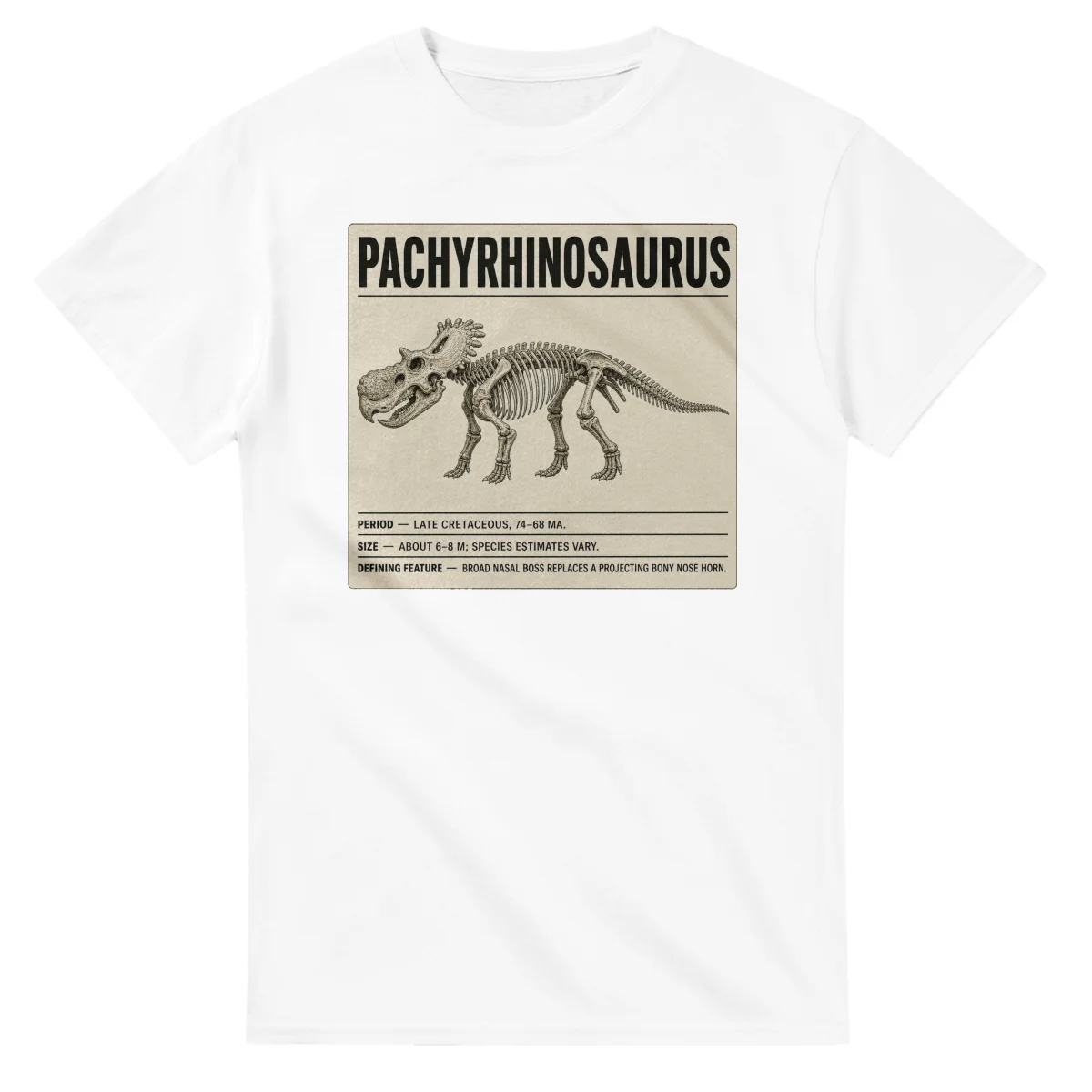 Pachyrhinosaurus - Set in Stone