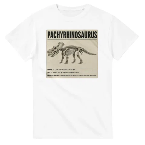 Pachyrhinosaurus - Set in Stone