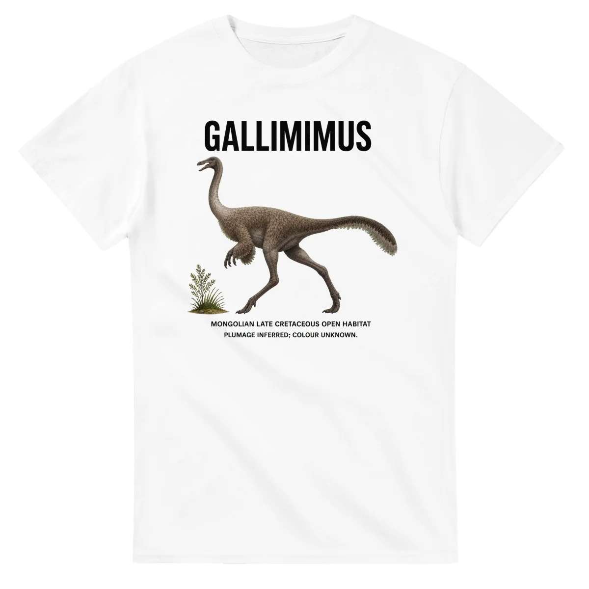 Gallimimus - Artist's Impression