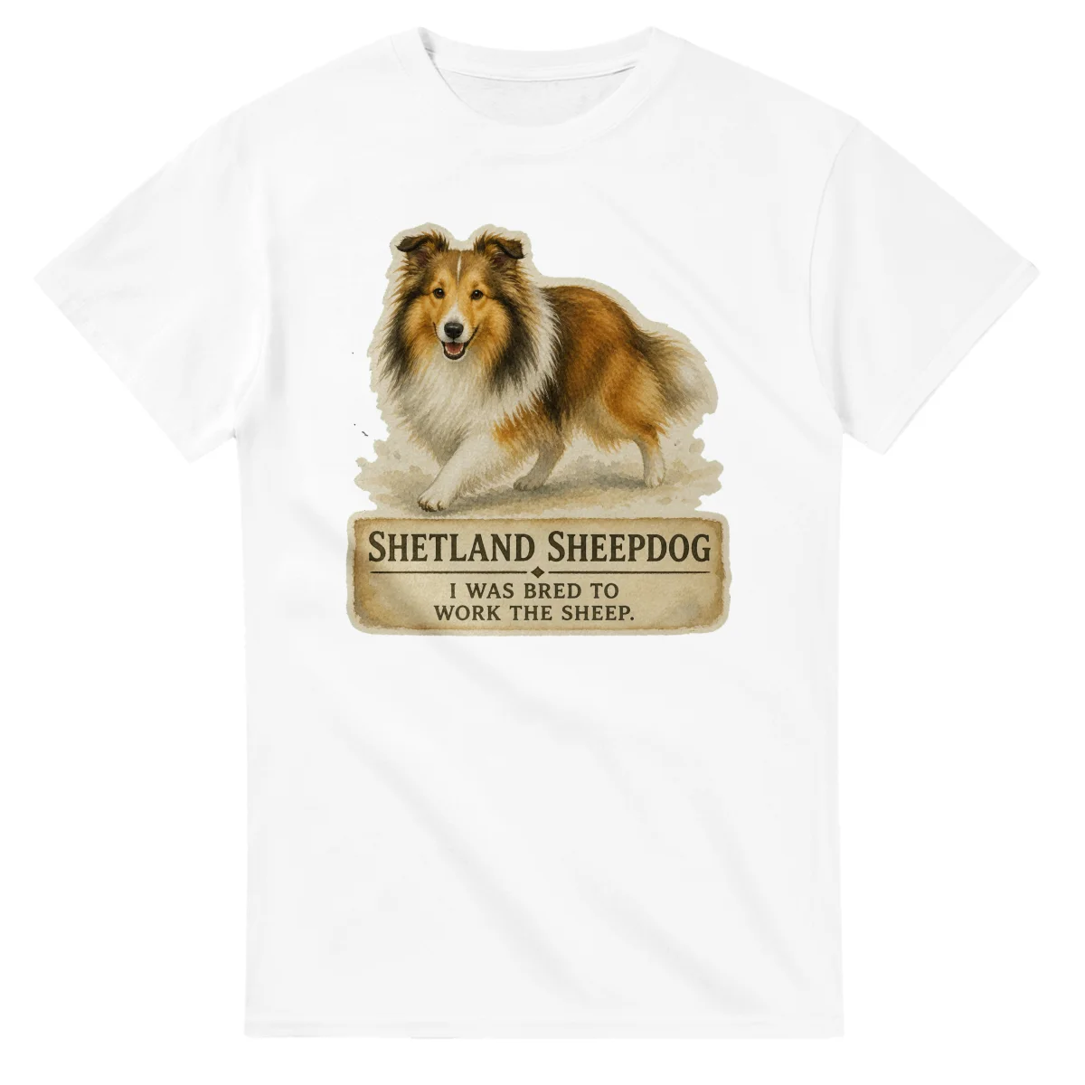 Shetland Sheepdog - Working Roots