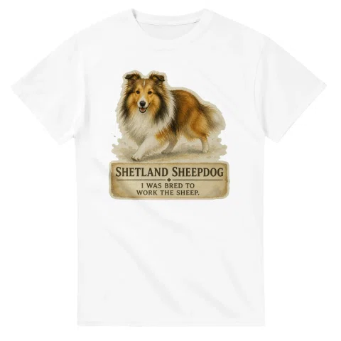 Shetland Sheepdog - Working Roots