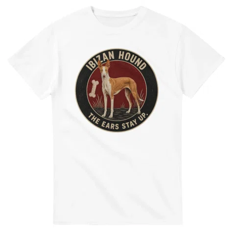 Ibizan Hound - The Ears Stay Up