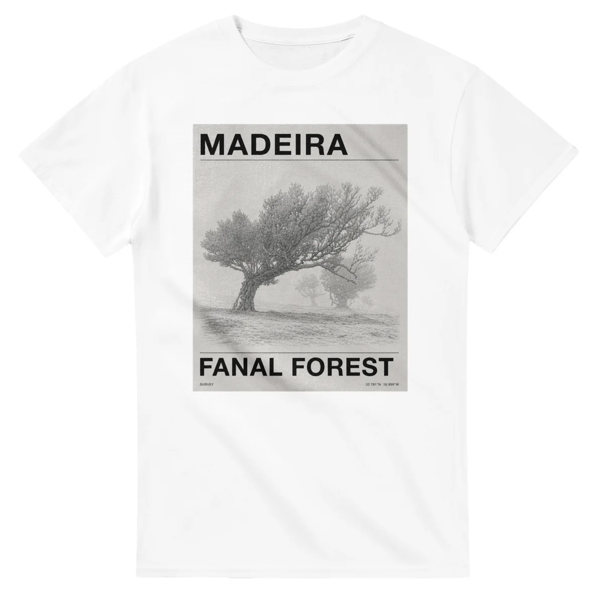 Fine-line engraving-style drawing for Madeira, with a landmark caption and small coordinate text.