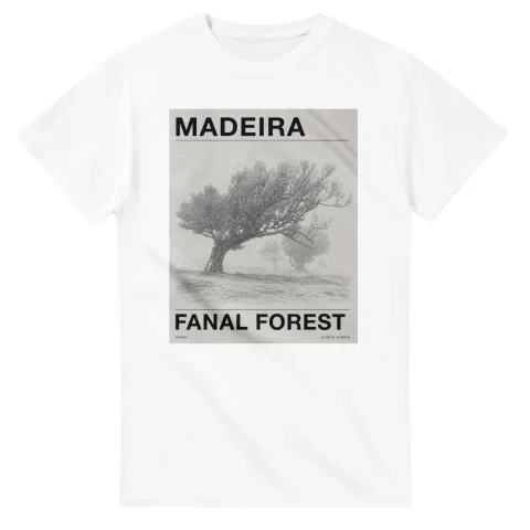 Fine-line engraving-style drawing for Madeira, with a landmark caption and small coordinate text.