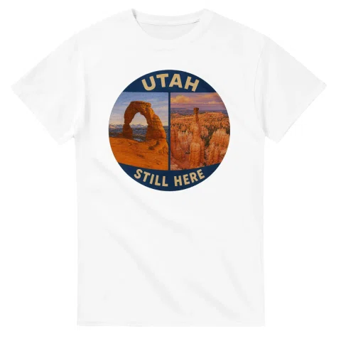 Painted, panelled scenic illustration for Utah, with paired local scenes and the place name in lettering.