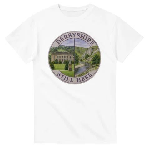 Painted, panelled scenic illustration for Derbyshire, with paired local scenes and the place name in lettering.