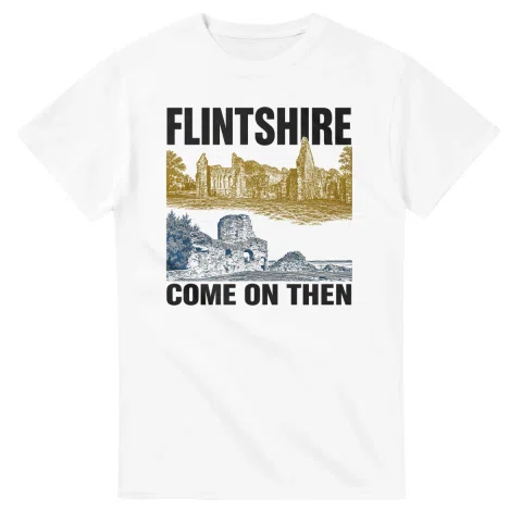 Two-colour scenic illustration for Flintshire, with the place name and COME ON THEN lettering.