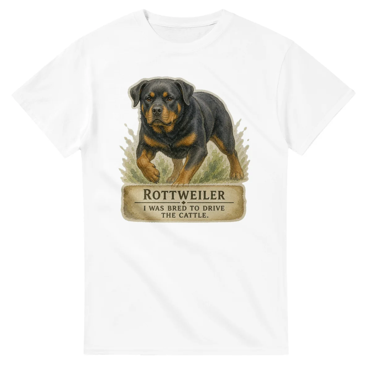 Rottweiler - Working Roots