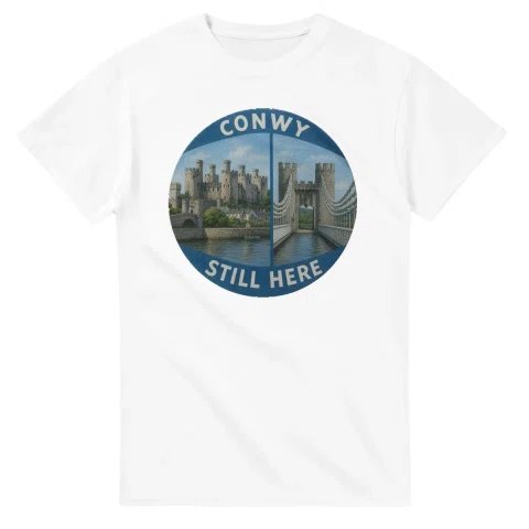 Painted, panelled scenic illustration for Conwy, with paired local scenes and the place name in lettering.