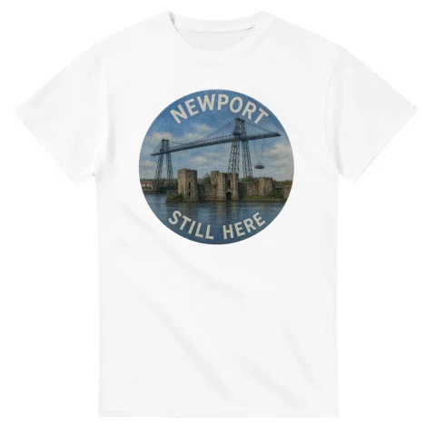 Painted, panelled scenic illustration for Newport, with paired local scenes and the place name in lettering.