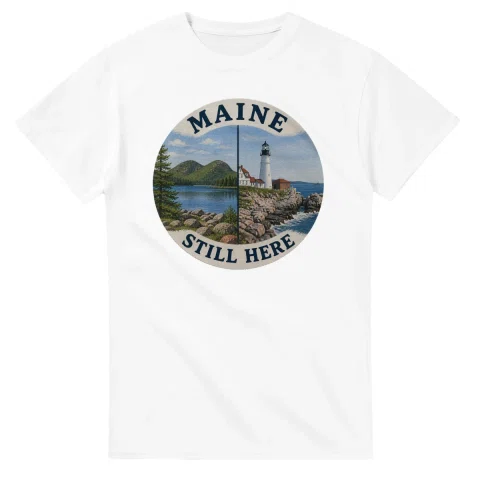 Painted, panelled scenic illustration for Maine, with paired local scenes and the place name in lettering.
