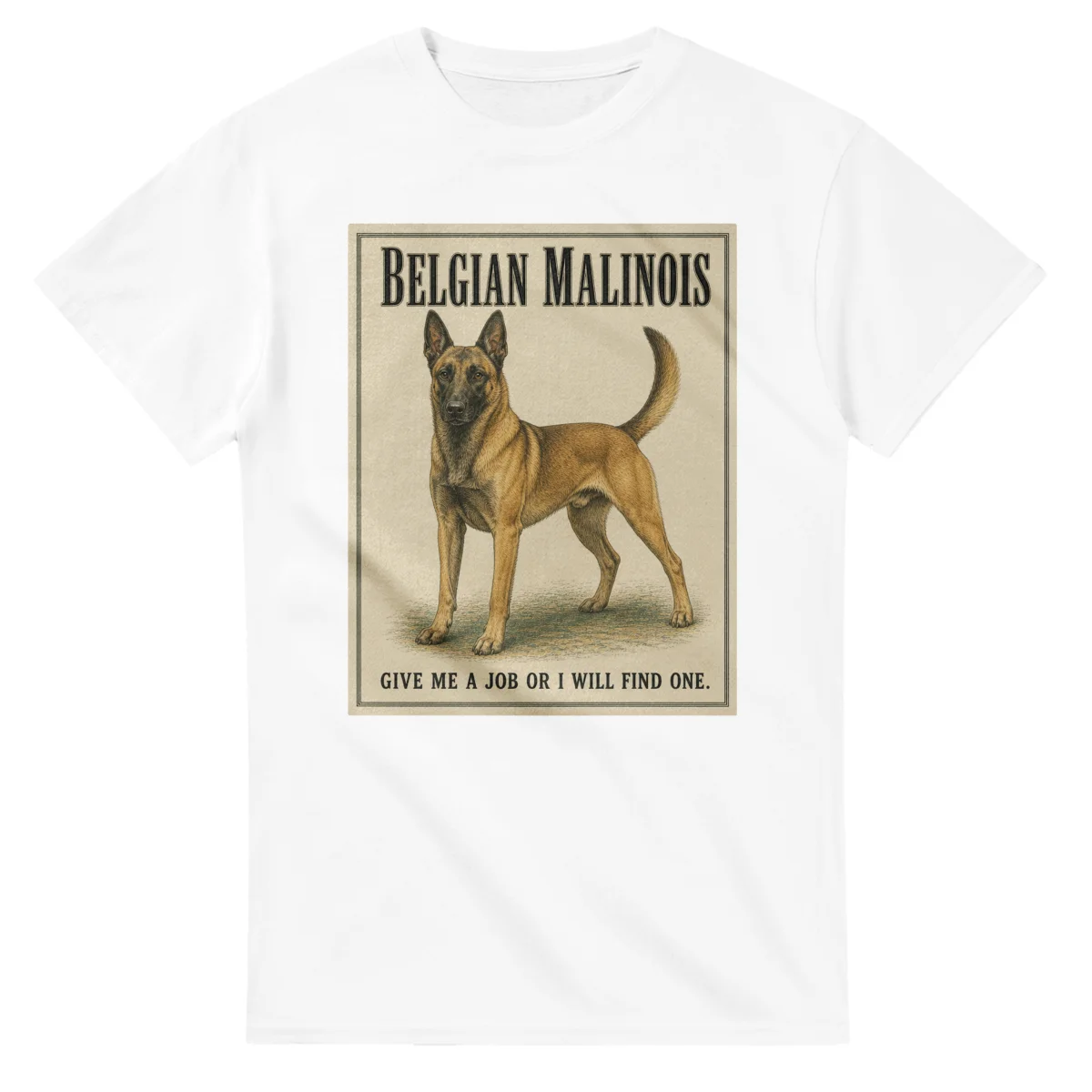 Belgian Malinois - Well Bred