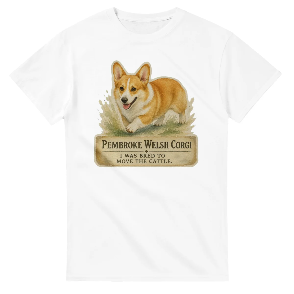 Pembroke Welsh Corgi - Working Roots
