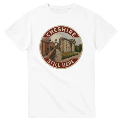 Painted, panelled scenic illustration for Cheshire, with paired local scenes and the place name in lettering.