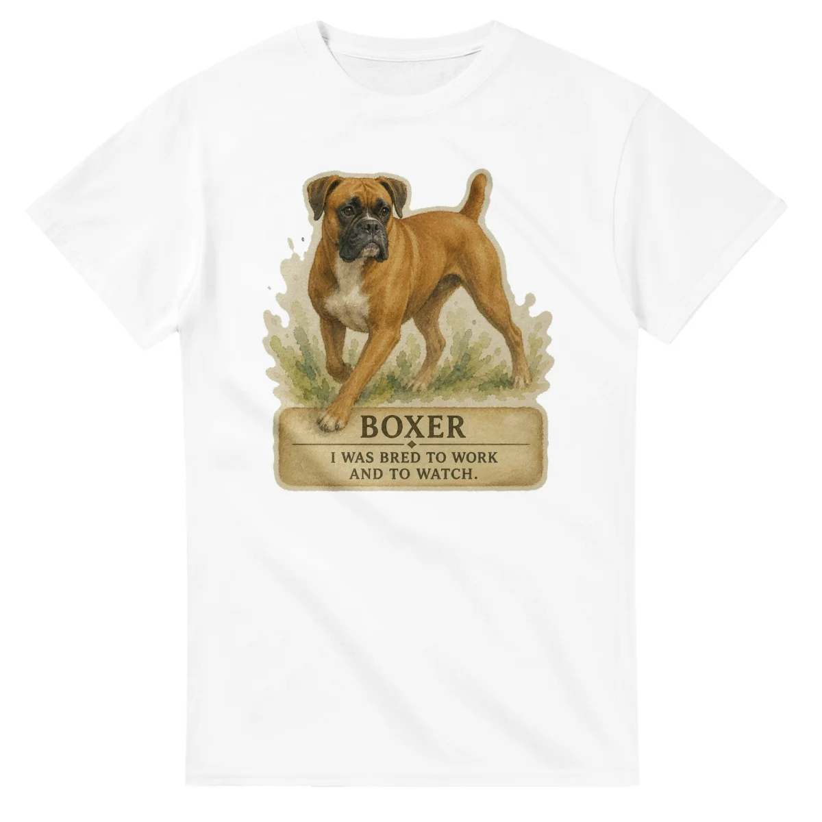 Boxer - Working Roots